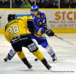 Photo hockey match Dijon  - Rouen le 23/11/2013