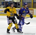 Photo hockey match Dijon  - Rouen le 23/11/2013