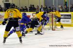 Photo hockey match Dijon  - Rouen le 23/11/2013