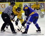 Photo hockey match Dijon  - Rouen le 23/11/2013