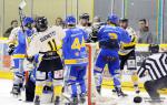 Photo hockey match Dijon  - Rouen le 03/01/2015
