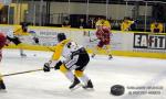 Photo hockey match Dijon  - Rouen le 01/12/2015