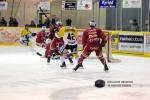 Photo hockey match Dijon  - Rouen le 30/12/2015