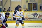 Photo hockey match Dijon  - Rouen le 08/11/2016
