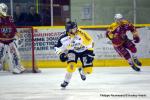 Photo hockey match Dijon  - Rouen le 08/11/2016