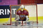 Photo hockey match Dijon  - Rouen le 08/01/2017
