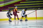 Photo hockey match Dijon  - Rouen le 08/01/2017