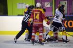 Photo hockey match Dijon  - Rouen le 08/01/2017