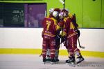 Photo hockey match Dijon  - Rouen le 08/01/2017