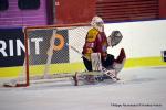 Photo hockey match Dijon  - Rouen le 08/01/2017