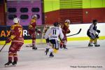 Photo hockey match Dijon  - Rouen le 08/01/2017