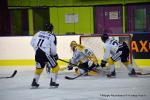 Photo hockey match Dijon  - Rouen le 08/01/2017