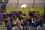 Photo hockey match Dijon  - Rouen le 08/01/2017