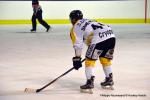 Photo hockey match Dijon  - Rouen le 08/01/2017