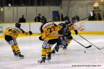 Photo hockey match Dijon  - Rouen le 05/02/2011