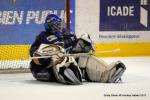Photo hockey match Dijon  - Rouen le 05/02/2011