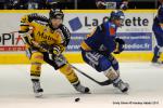 Photo hockey match Dijon  - Rouen le 05/02/2011