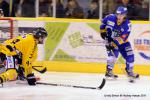 Photo hockey match Dijon  - Rouen le 30/12/2011