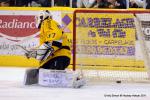 Photo hockey match Dijon  - Rouen le 30/12/2011