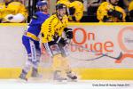 Photo hockey match Dijon  - Rouen le 30/12/2011