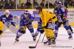 Photo hockey match Dijon  - Rouen le 30/12/2011