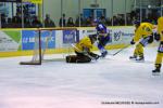 Photo hockey match Dijon  - Rouen le 08/12/2012