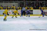 Photo hockey match Dijon  - Rouen le 08/12/2012