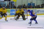 Photo hockey match Dijon  - Rouen le 08/12/2012