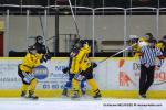 Photo hockey match Dijon  - Rouen le 08/12/2012