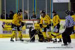 Photo hockey match Dijon  - Rouen le 08/12/2012
