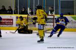Photo hockey match Dijon  - Rouen le 08/12/2012