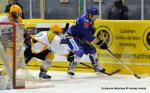 Photo hockey match Dijon  - Strasbourg  le 19/11/2013