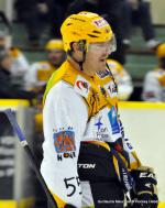 Photo hockey match Dijon  - Strasbourg  le 19/11/2013