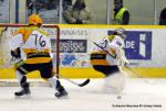 Photo hockey match Dijon  - Strasbourg  le 19/11/2013
