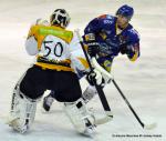 Photo hockey match Dijon  - Strasbourg  le 19/11/2013