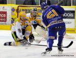 Photo hockey match Dijon  - Strasbourg  le 19/11/2013