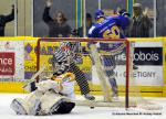 Photo hockey match Dijon  - Strasbourg  le 19/11/2013
