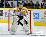 Photo hockey match Dijon  - Strasbourg  le 29/12/2013