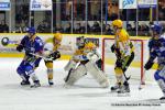Photo hockey match Dijon  - Strasbourg  le 29/12/2013