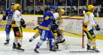 Photo hockey match Dijon  - Strasbourg  le 29/12/2013