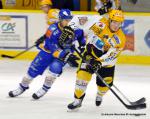 Photo hockey match Dijon  - Strasbourg  le 29/12/2013