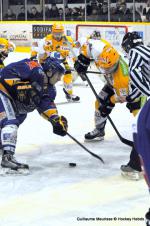 Photo hockey match Dijon  - Strasbourg  le 29/12/2013