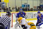 Photo hockey match Dijon  - Strasbourg  le 29/12/2013