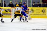 Photo hockey match Dijon  - Strasbourg  le 29/12/2013