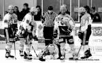 Photo hockey match Dijon  - Strasbourg  le 29/12/2013