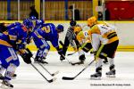 Photo hockey match Dijon  - Strasbourg  le 29/12/2013