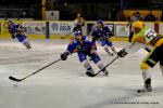 Photo hockey match Dijon  - Strasbourg  le 29/12/2013