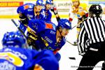 Photo hockey match Dijon  - Strasbourg  le 29/12/2013