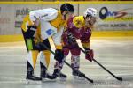 Photo hockey match Dijon  - Strasbourg  le 04/10/2016