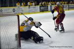 Photo hockey match Dijon  - Strasbourg  le 21/02/2017